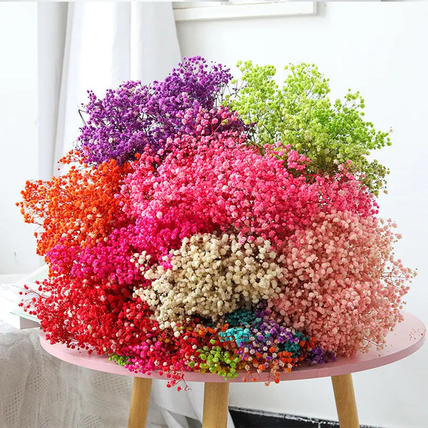 Preserved Baby's Breath Gypsophila - Hot Pink (Medium-to-Large Bloom) –