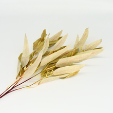 Faux Eucalyptus Leaves