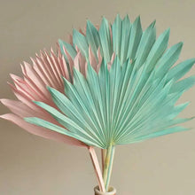 Preserved Sun Palm Leaves